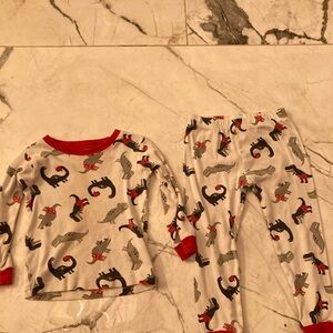 Kids Dinosaur Pajamas Set!